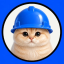 Basecat logo