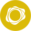 PAX Gold logo